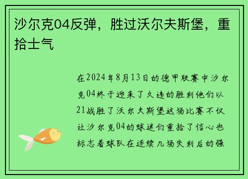 沙尔克04反弹，胜过沃尔夫斯堡，重拾士气