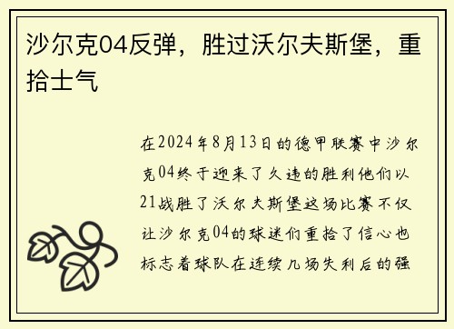 沙尔克04反弹，胜过沃尔夫斯堡，重拾士气
